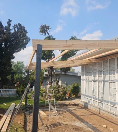 carpenter-soweto